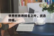 星空体育app官方下载-世界杯世界排名上升，状态回暖。